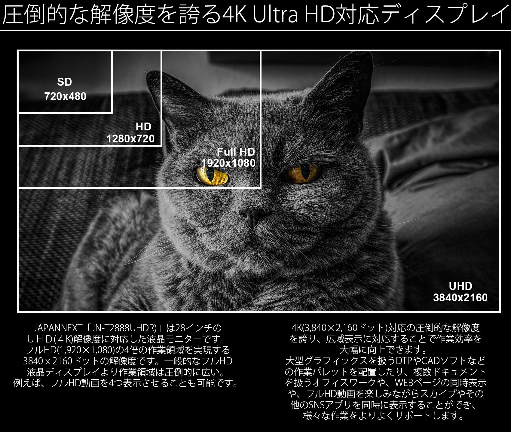 JAPANNEXT「JN-T284CUHDR」は28インチのUHD（4K）解像度に対応した液晶ディスプレイです。フルHD（1920×1080）の4倍の作業領域を実現する3840ｘ2160ドットの解像度です。一般的なフルHD液晶ディスプレイより作業領域は圧倒的に広い。例えば、フルHD動画を同時に4つ表示可能です。4K（3840x2160ドット）対応の圧倒的な解像度を誇り、広域表示に対応することで作業効率を大幅に向上できます。大型グラフィックスを扱うDTPやCADソフトなどの作業パレットを配置したり、複数ドキュメントを扱うオフィスワークや、WEBページの同時表示や、フルHD動画を楽しみながらスカイプやその他のSNSアプリを同時に表示することができ、様々な作業をよりよくサポートします。